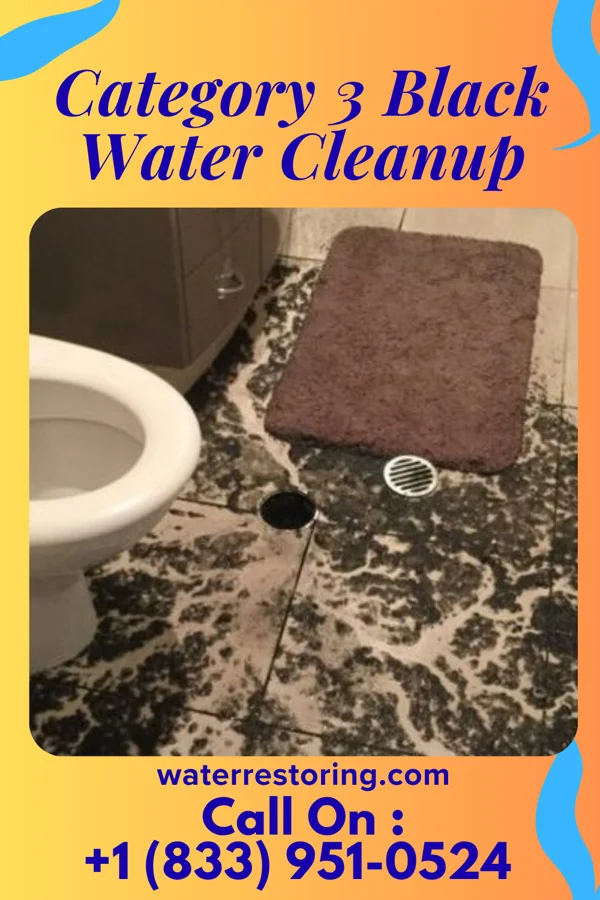 Category 3 Black Water Cleanup in Mertzon, TX