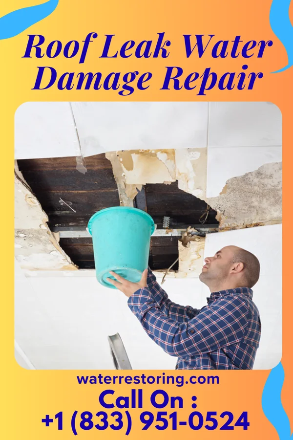 Roof Leak Water Damage Repair in Mertzon, TX