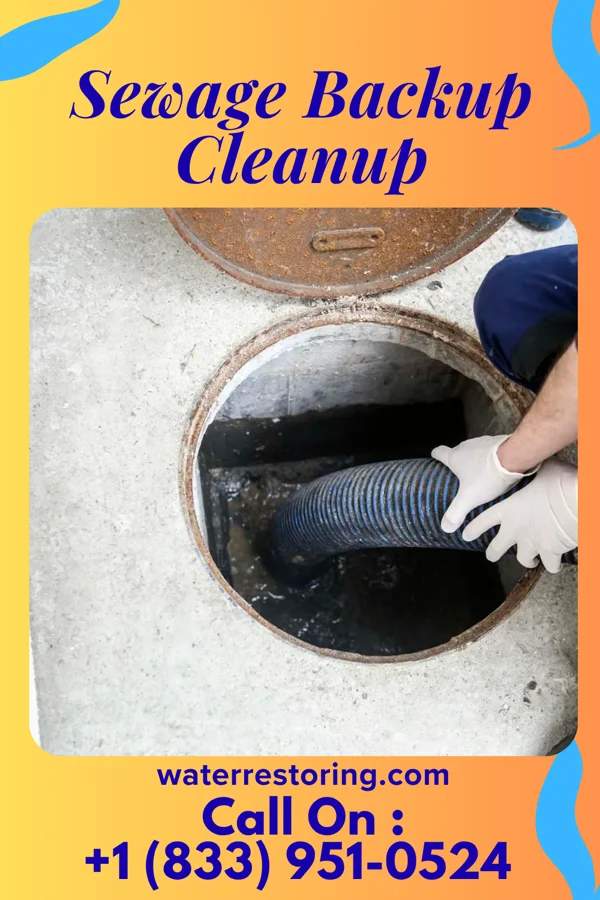 Sewage Backup Cleanup in Mertzon, TX