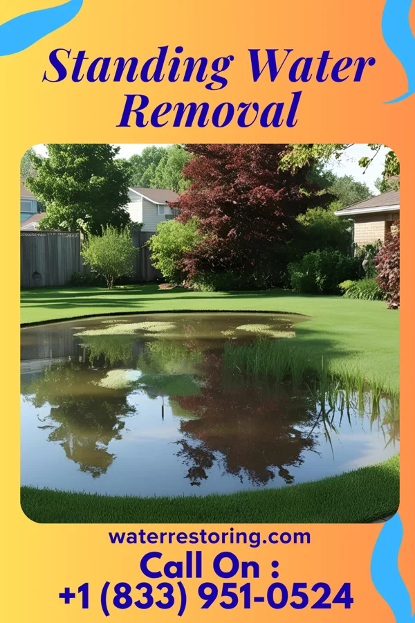 Standing Water Removal in Mertzon, TX